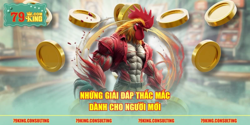 Những giải đáp thắc mắc dành cho người mới